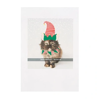 Image of Hallmark Small Funny &quot;Santa Hates You&quot; Christmas Card