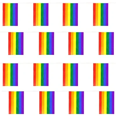 Image of Rainbow Flag Bunting 10m 33ft 24 Plastic all Weather Pride Decoration for Indoor Outdoor Events, Month, Festivals and Celebrations