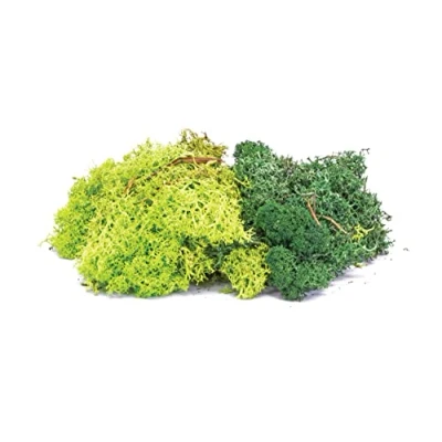 Image of Hornby R7194 Lichen Green Mix for Model Railway OO Gauge, Train Accessories Adding Scenery, Dioramas, Woodland, Buildings and More, Making Kits 1:76 Scale Accessory