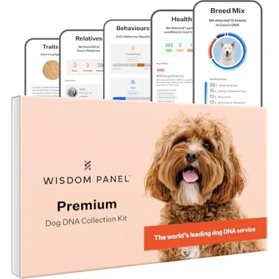 Image of Wisdom Panel Premium: Most Comprehensive Dog DNA Test for 260+ Health Tests Accurate Breed ID and Ancestry Traits Relatives Behaviours Vet Consult