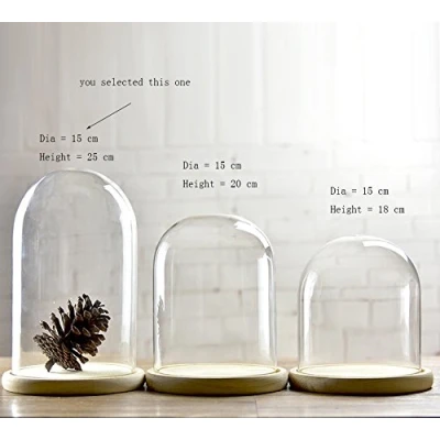 Image of Artlass Glass Cloche Bell Jar Dome With wooden Tray Diameter 15 cm (Large)
