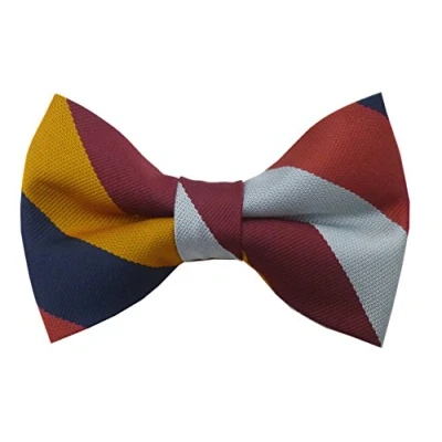 Image of Royal Air Force RAF Stripe (Ready Tied) Regiment Bow Tie