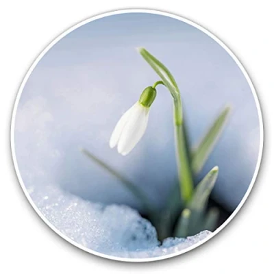 Image of Vinyl Stickers (Set of 2) 10cm Pretty Snowdrop Flower Decals for Laptops,Tablets,Luggage,Scrap Booking,Fridges, 2063