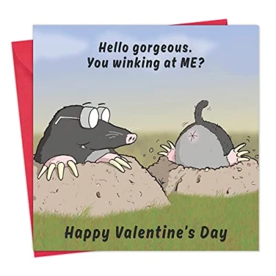 Image of Twizler Funny Valentine&#039;s Day Card Moles Winking Valentine for Husband or Wife Cards Him Her Fiance Fiancee Boyfriend Girlfriend Partner