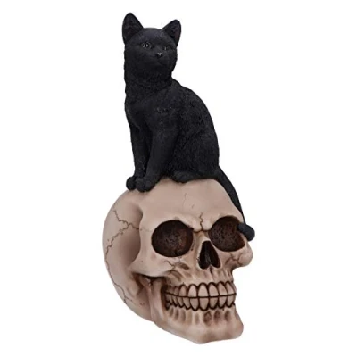 Image of Nemesis Now Familiar Fate 24.3cm Black Witches Cat and Skull Figurine