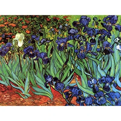 Image of Wee Blue Coo Van Gogh Irises Large Wall Art Poster Print Thick Paper 18X24 Inch
