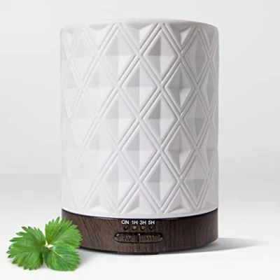 Image of Earnest Living Essential Oil Diffuser for Home White Ceramic 250ml Timers Night Lights Auto Off Function Oils Diffusers Electric Humidifier Aroma Office Gift