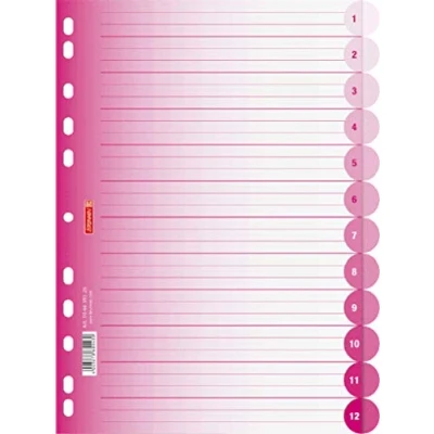 Image of Brunnen 106659523 File Dividers Colour Code Ring Binders/Folders, Polypropylene, A4, 12 Tabs Pink