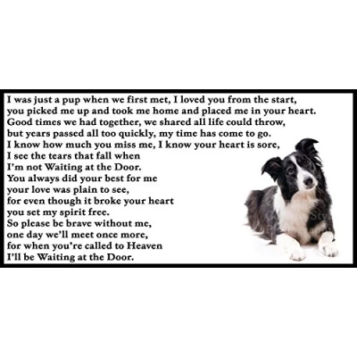 Image of Border Collie bereavement pet dog loss memorial Flexible Fridge Magnet / Magnetic Sign Waiting at the Door