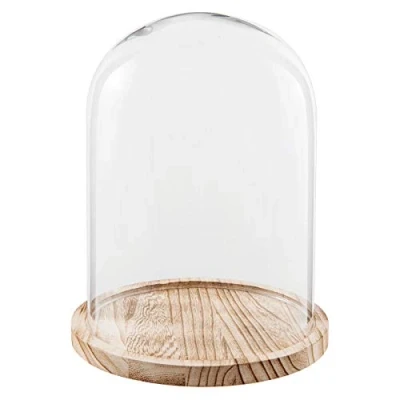 Image of Small Glass Display Cover Bell Jar Cloche on Wooden Base Stand 29cm