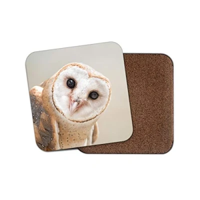 Image of 1 x Wise Barn Owl Coaster Bird British Wildlife Nature Wild Animals #15817