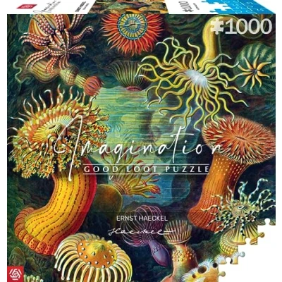 Image of Good Loot Jigsaw Puzzle Imagination Series Ernst Haeckel Sea Anemones Classic Puzzles Art with picture 1000 pieces Adult 68,3x48 cm