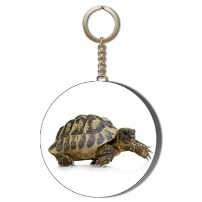 Image of Gift Insanity TORTOISE WHITE 58mm LONG CHAIN KEYRING