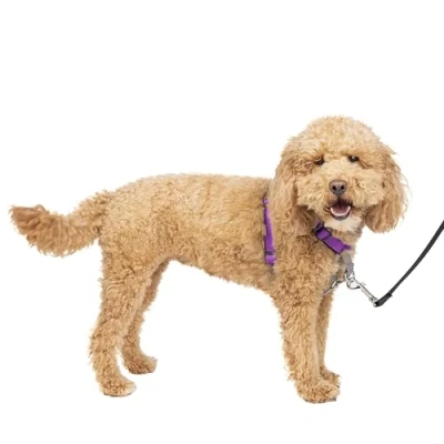 Image of PetSafe 3 in 1 Harness and Car Restraint, Small, Plum, No Pull, Adjustable, Training for small/medium/large dogs