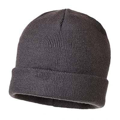 Image of Portwest Knit Cap Insulatex Lined, Size: One Size, Colour: Grey, B013GRR