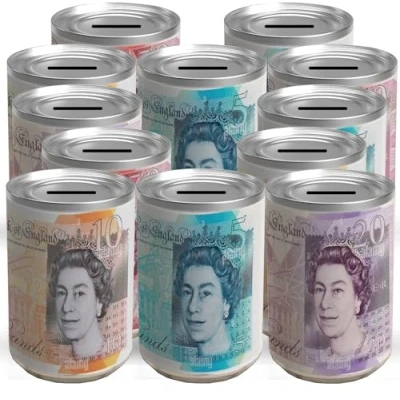 Image of EXPECTRO 12pcs Money TIN BOX Sterling Bank Note Piggy Bank, Coin Tin, Cash Savings Can, Birthday Money, Holiday &amp; Christmas Fund (12X Medium Random)