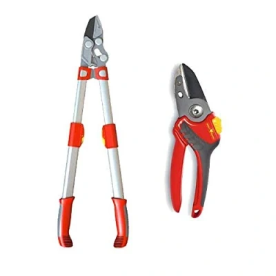 Image of Wolf Garten RS900T Power Cut Anvil Telescopic Loppers &amp; RS2500 Pruner Secateurs