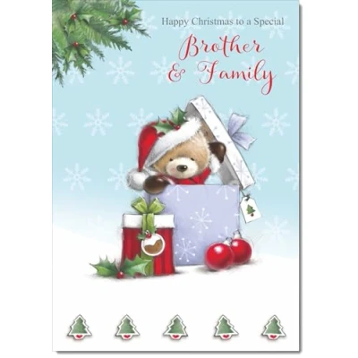 Image of doodlecards Brother and Family Christmas Card Cute Bear Parcel Medium Size for &amp; with Plain Envelope