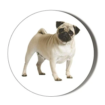 Image of Gift Insanity PUG DOG 45mm Novelty Badge