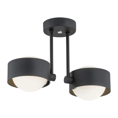 Image of Massimo Plus Globe Ceiling 2 Light Opal Matt, Black Structure IP44