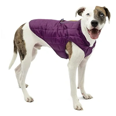 Image of Kurgo Loft Dog Jacket, Reversible Coat for Cold Weather, Purple/Grey, Medium