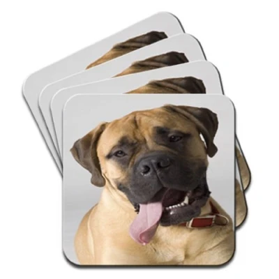 Image of Bull Mastiff Dog Close Up Set of 4 Coasters