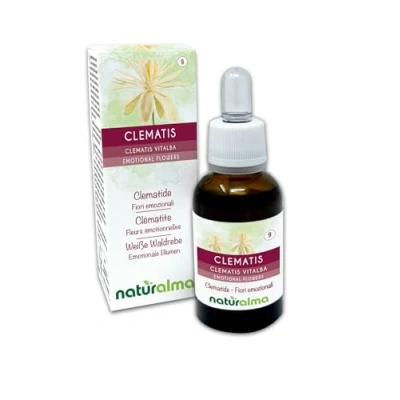Image of Clematis (Clematis vitalba) Naturalma Bach Flowers Drops 30 ml Alcohol Free Liquid Extract Flower essences Vegan and Without