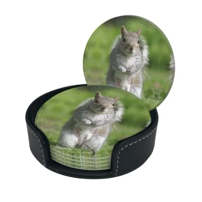 Image of Squirrel Print Round Leather Coasters Set Of 6, Ultra Fiber Pu
