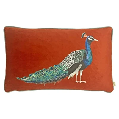 Image of Evans Lichfield Peacock Feather Filled Cushion Orange One Size