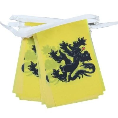 Image of AZ Flag Flanders 6 meters BUNTING 20 flags 9&#039;&#039; x 6&#039;&#039; Belgium Flemish STRING 15 21 cm