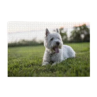 Image of Puzzles,Jigsaw Puzzles Adults Challenging puzzle 1000 pcs Picture wooden, Westie Lawn West Highland White Terrier Dogs