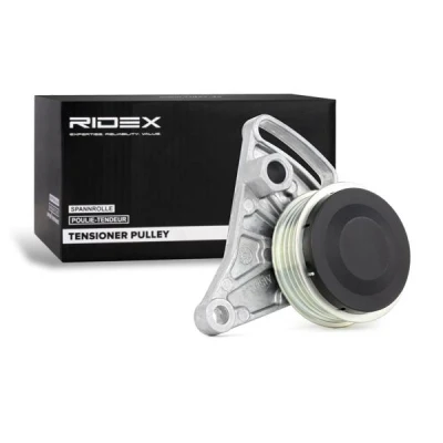 Image of 058260511 Tensioner Pulley INA 531 0309 10 AUDI: A6 C5 Avant, A4 B6 B5 Saloon, VOLKSWAGEN: Passat GP Estate
