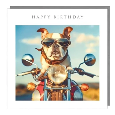 Image of Tracks Publishing Funny Male Birthday Card Happy with Humorous Biker Bulldog Design for Men