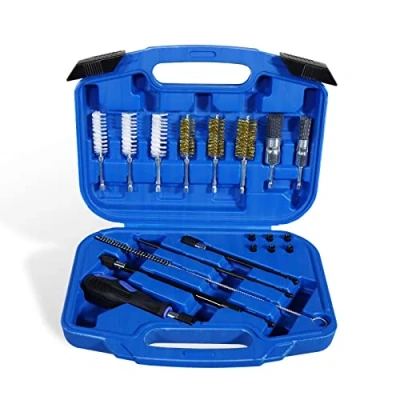 Image of CCLIFE Injector Seat and Shaft Cleaning Set 19 Piece with Steel Wire Brushes, Nylon Brushes