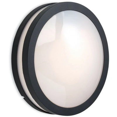 Image of Zenith 1 Light Wall/Flush Ceiling Pendant Graphite, Opal Diffuser IP54, E27