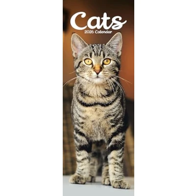 Image of Cats Slim Calendar 2026