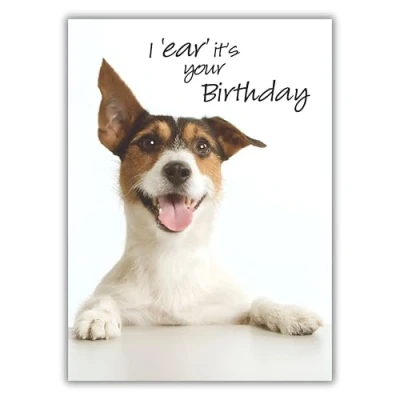 Image of Noel Tatt Open &#039;Happy Birthday&#039; Funny Photographic Greeting Card I &#039;Ear&#039; It&#039;s Your Birthday Jack Russell Terrier From The Picture This Range