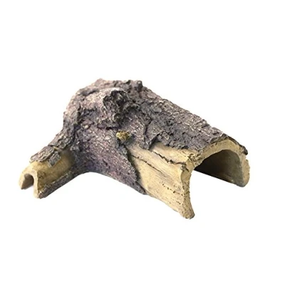 Image of Komodo Forest Tunnel Hide