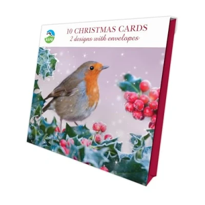 Image of Christmas Visitors RSPB Luxury 10 Card Pack