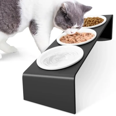 Image of Vmglgig Ceramic Cat Food Bowls, 3PCS Bowl With 15 Tilted Metal Stand,Raised Bowls for and Water, Feeding Station Cats Puppy