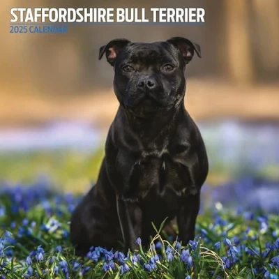 Image of Staffordshire Bull Terrier 2025 Traditional Calendar