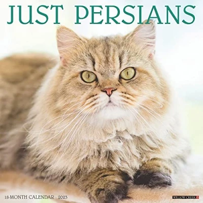 Image of Just Persians 2023 Wall Calendar