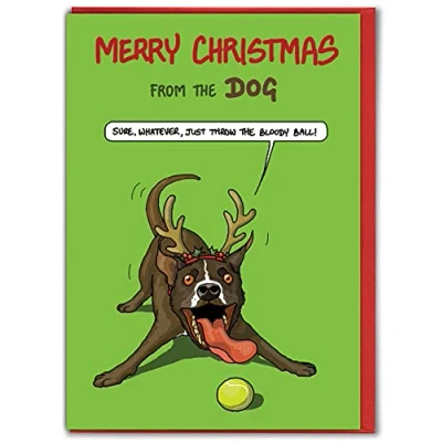 Image of Brainbox Candy Hilariously Funny Christmas Cards Dog &#039;From The Dog&#039; Pet Lovers Cheeky Xmas Card For Him Her Partner Friend