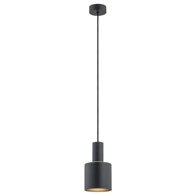 Image of Sines 12cm Dome Pendant Ceiling Light Black Structure, Brass Elements
