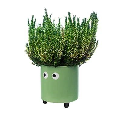Image of Fisura Original flower pot eye design. Decorative indoor planter. with legs for cactus. Ceramic flowers and succulents. Dimensions: 13cm x 12,5cm. (Green)