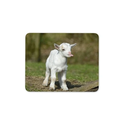 Image of Cute White Baby Goat Mouse Mat Pad Goats Kid Farm Animal Gift Computer #8650
