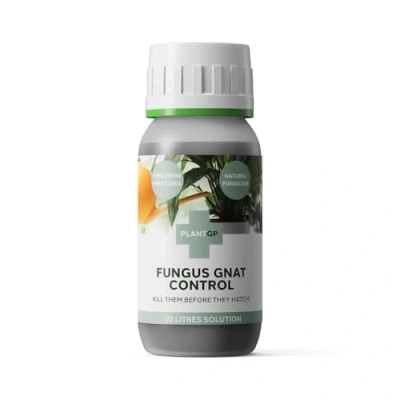 Image of fungus Gnat Control and Plant Food. Effective against gnats, larvae pests that destroy your house plants. Helps create healthy