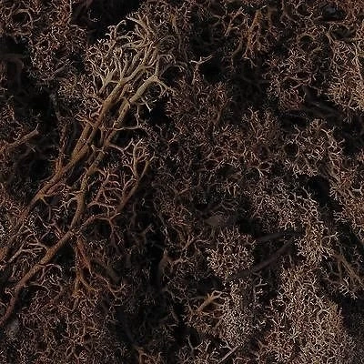 Image of Scenic Lichen, Brown ,Javis, Model Railway / Wargaming,