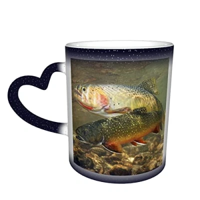 Image of YINGD Brook Trout Fly Fishing Color Changing Mug Ceramic Heat Sensitive Mugs Discoloration Cup Water Coffee Cups Magic Funny Art Personalized