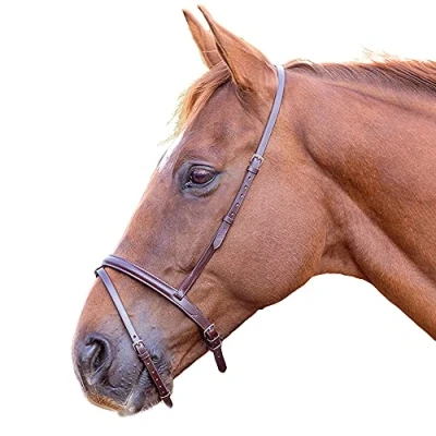Image of Shires Blenheim Flash Noseband Havana Full